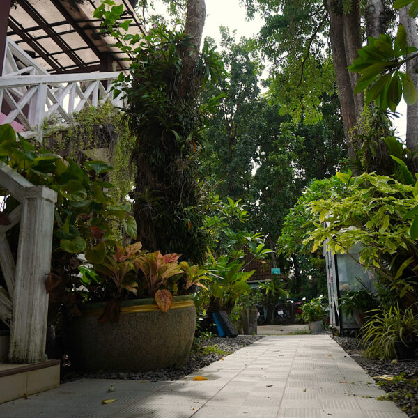 Rawai Room 1